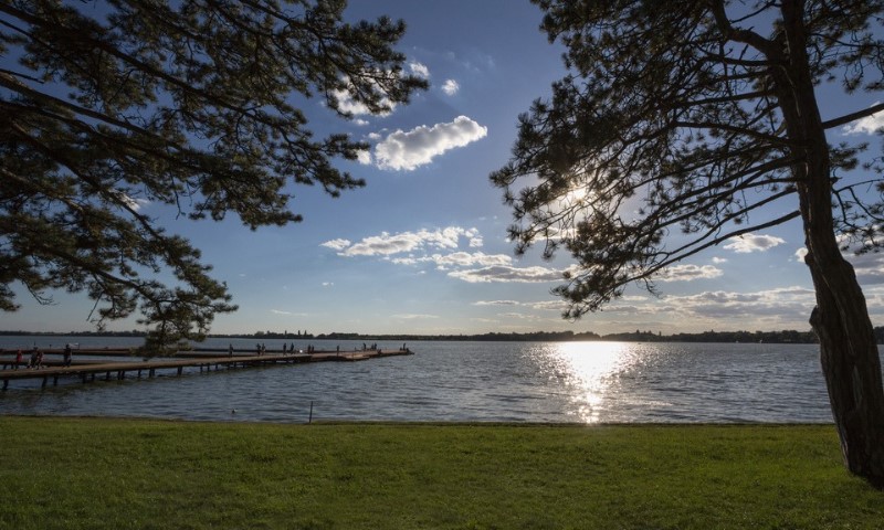 Palićko jezero, borovi i zeleni travnjak u pozadini