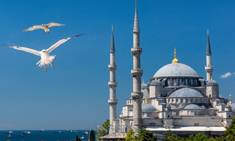 Galebovi lete oko Plave džamije u Istanbulu