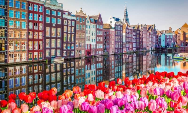 Amsterdamski pejzaž sa kanalom Damrak i tipičnim holandskim tulipanima